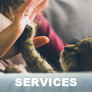 Services